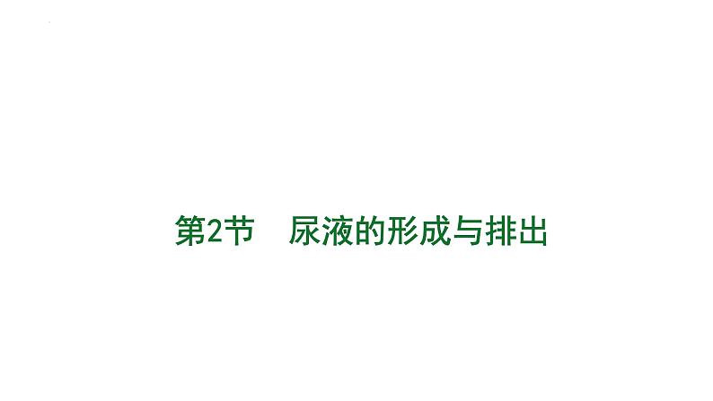 第四单元第十一章第二节  尿液的形成与排出  课件 北师大版生物七年级下册01