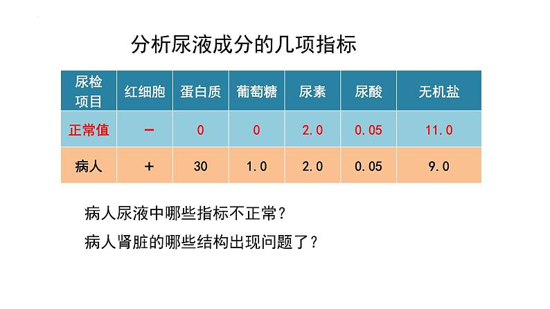 第四单元第十一章第二节  尿液的形成与排出  课件 北师大版生物七年级下册08