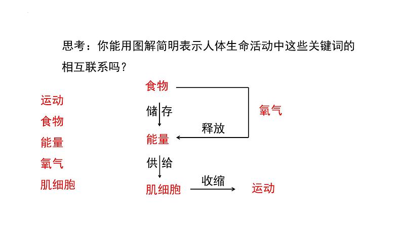 第四单元第十章第一节食物中能量的释放课件  北师大版生物七年级下册04