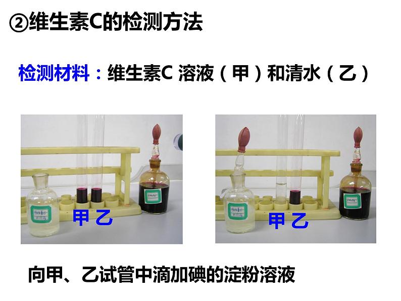 第四单元第八章第一节 人类的食物 课件 北师大版生物七年级下册06