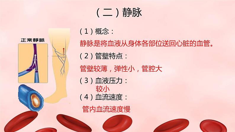 第四单元第九章第二节血液循环（第一课时）课件 北师大版生物七年级下册第8页