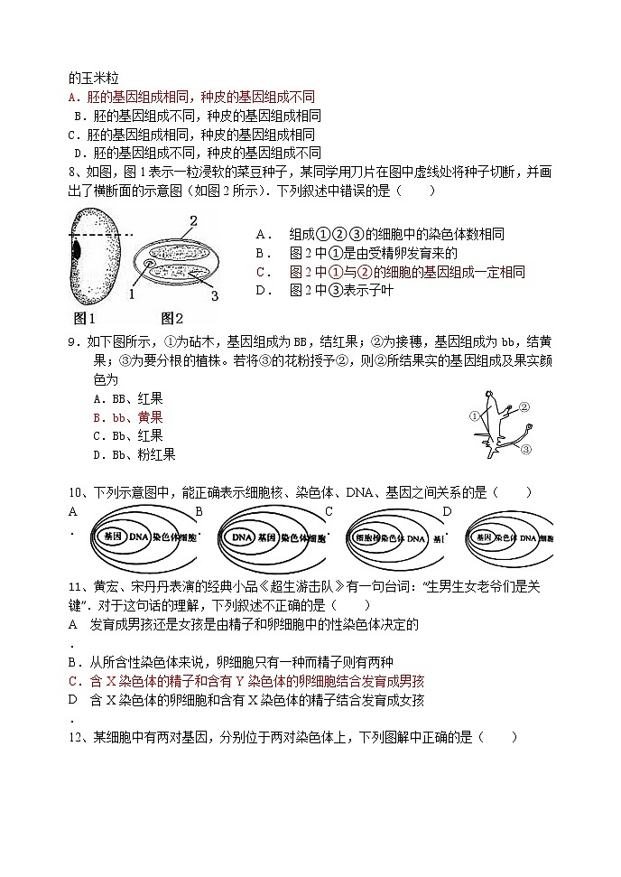八年级下册生物期中测试题（含答案）02