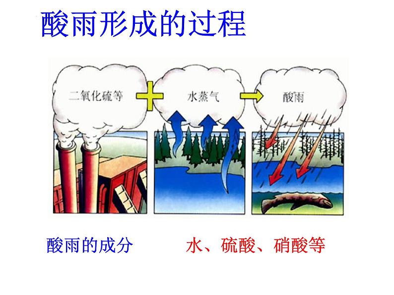 第四单元第七章第二节探究环境污染对生物的影响课件  人教版七年级生物下册第8页