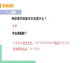 第四单元第六章第三节神经调节的基本方式  课件  人教版七年级生物下册