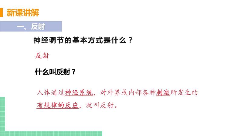 第四单元第六章第三节神经调节的基本方式  课件  人教版七年级生物下册04