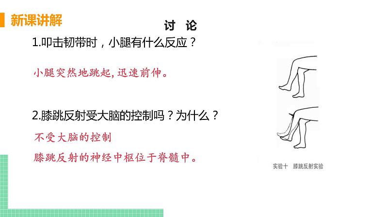 第四单元第六章第三节神经调节的基本方式  课件  人教版七年级生物下册06