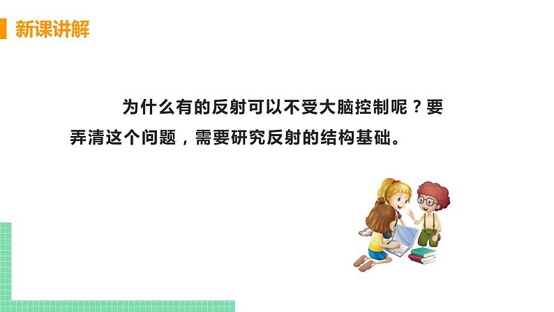 第四单元第六章第三节神经调节的基本方式  课件  人教版七年级生物下册07