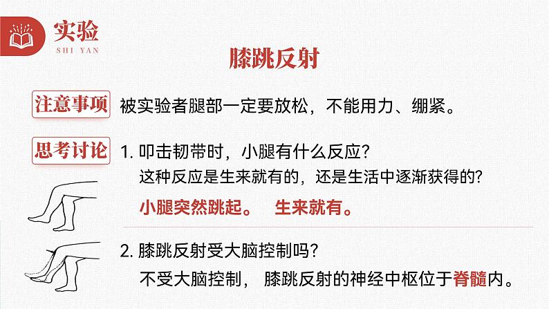 第四单元第六章第三节神经调节的基本方式 课件  人教版生物七年级下册06