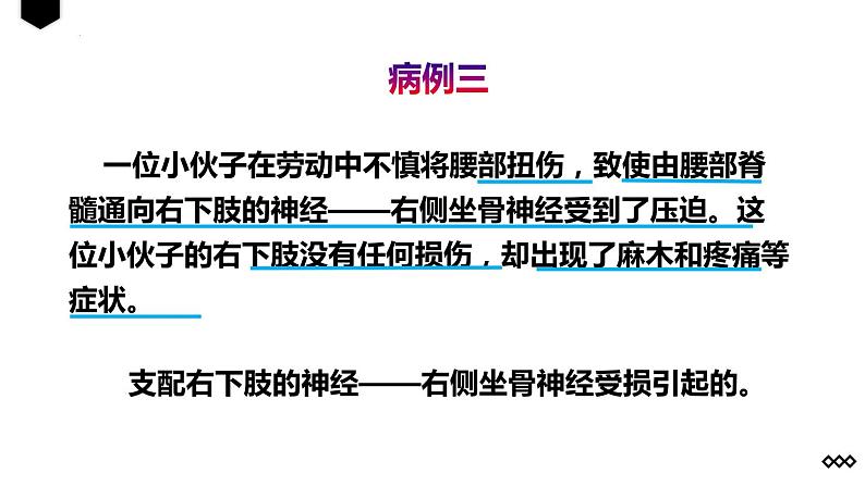 第四单元第六章第二节神经系统的组成课件  人教版生物七年级下册07