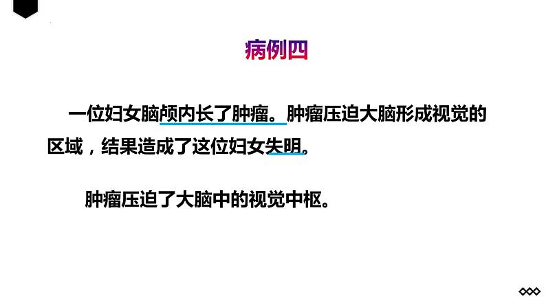 第四单元第六章第二节神经系统的组成课件  人教版生物七年级下册08