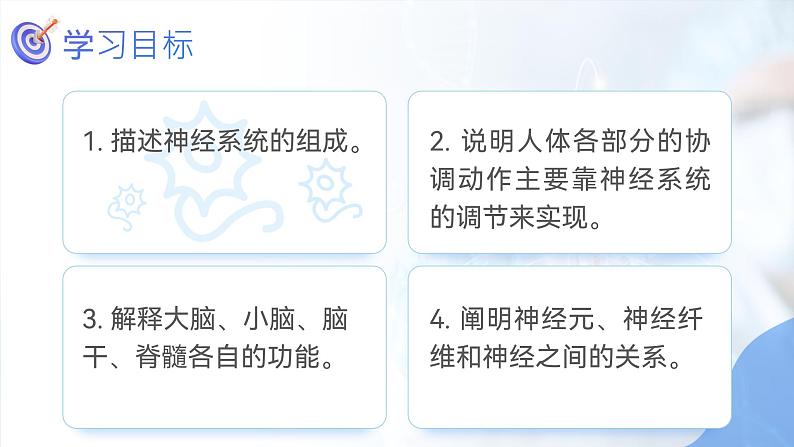 第四单元第六章第二节神经系统的组成  课件  人教版生物七年级下册 (1)02