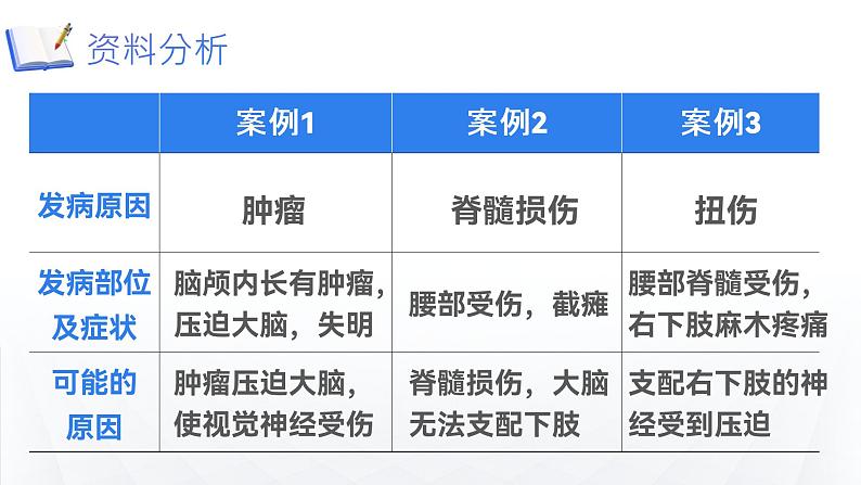 第四单元第六章第二节神经系统的组成  课件  人教版生物七年级下册 (1)05