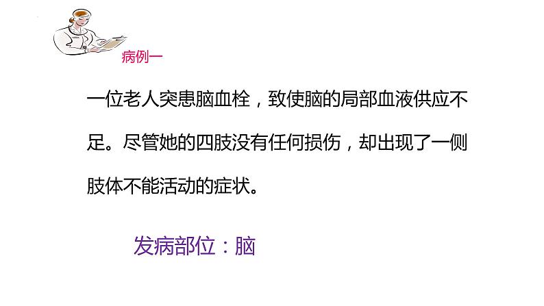 第四单元第六章第二节神经系统的组成  课件  人教版生物七年级下册05