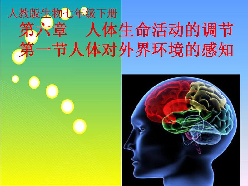 第四单元第六章第一节人体对外界环境的感知 课件  人教版生物七年级下册01