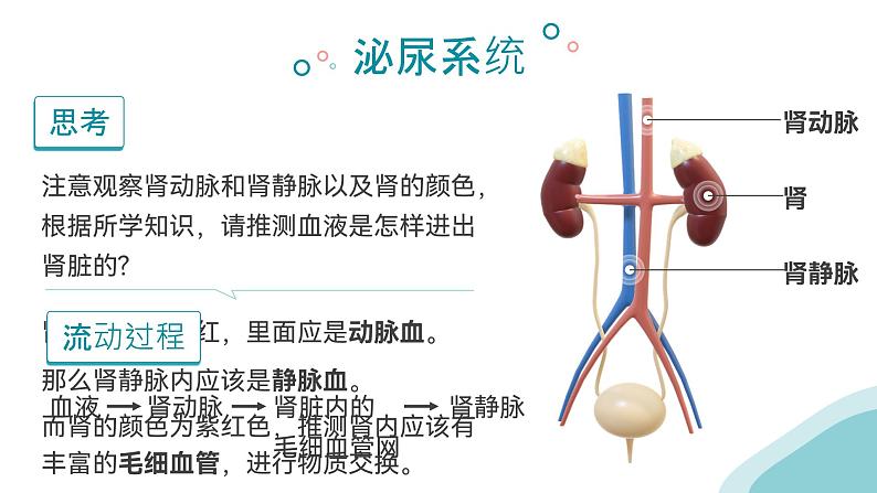 第四单元第五章 人体内废物的排出  课件 人教版生物七年级下册第7页