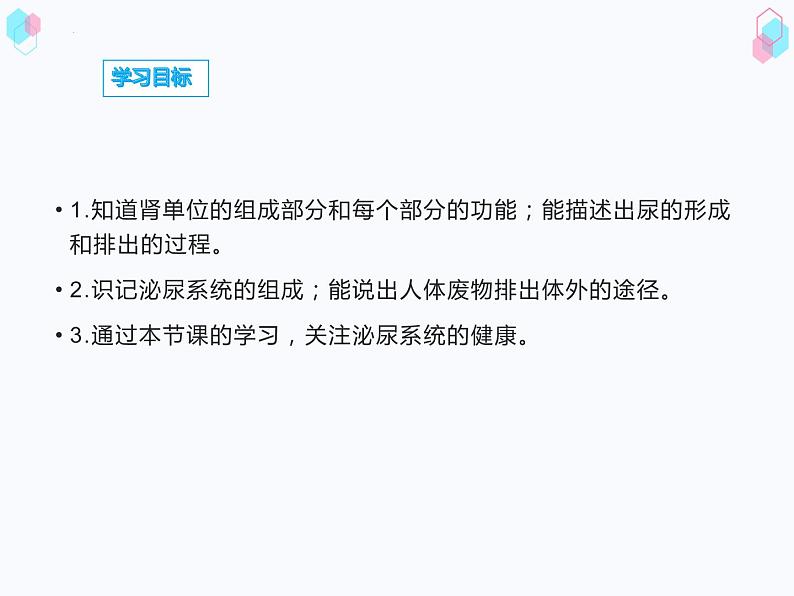 第四单元第四章人体内废物的排出课件  人教版生物七年级下册第2页