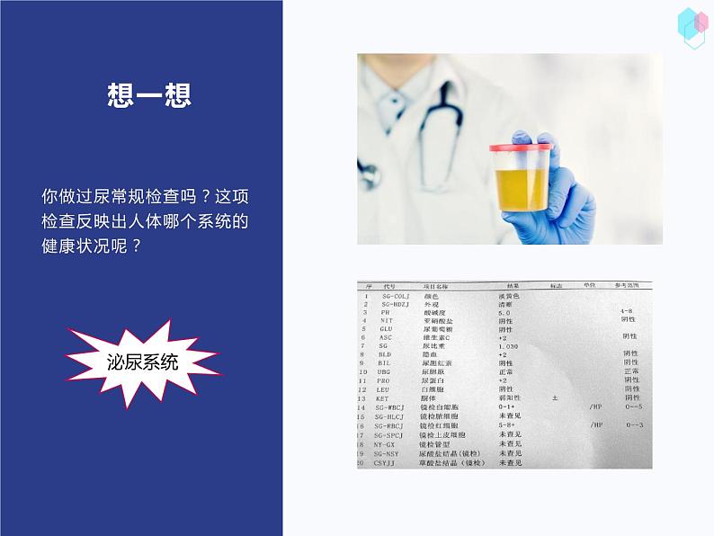 第四单元第四章人体内废物的排出课件  人教版生物七年级下册第3页