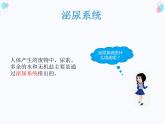 第四单元第四章人体内废物的排出课件  人教版生物七年级下册