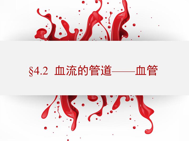 第四单元第四章第二节血流的管道——血管课件  人教版生物七年级下册01