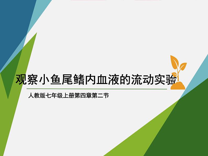 第四单元第四章第二节血流的管道——血管课件  人教版生物七年级下册03