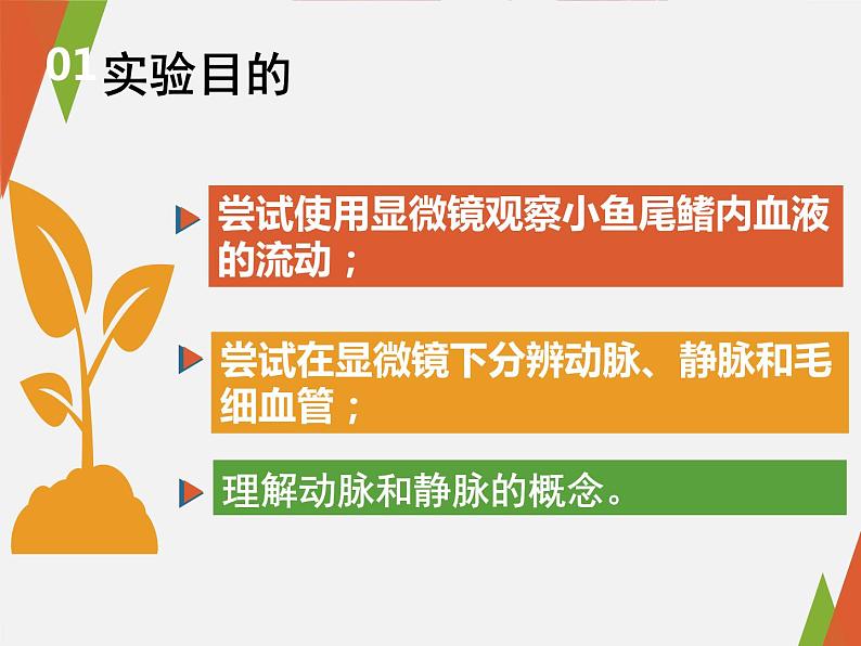 第四单元第四章第二节血流的管道——血管课件  人教版生物七年级下册05