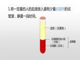 第四单元第四章第一节流动的组织 血液 课件 人教版生物七年级下册