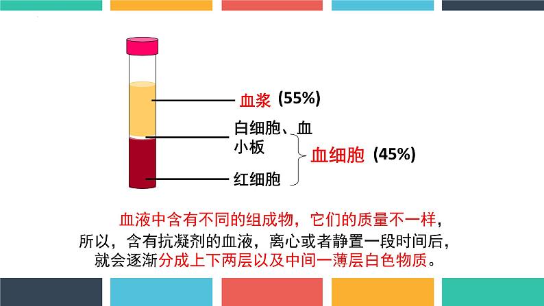 第四单元第四章第一节流动的组织——血液课件  人教版生物七年级下册05