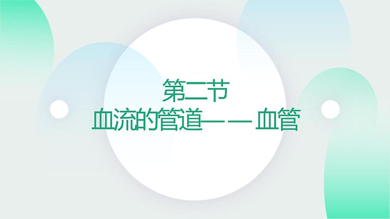 第四单元第四章第一节血流的管道——血管 课件 人教版生物七年级下册01