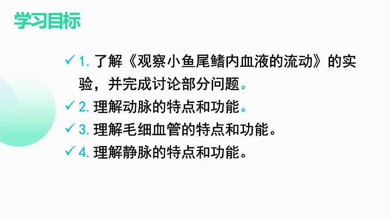 第四单元第四章第一节血流的管道——血管 课件 人教版生物七年级下册02