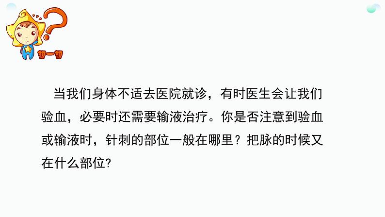 第四单元第四章第一节血流的管道——血管 课件 人教版生物七年级下册04