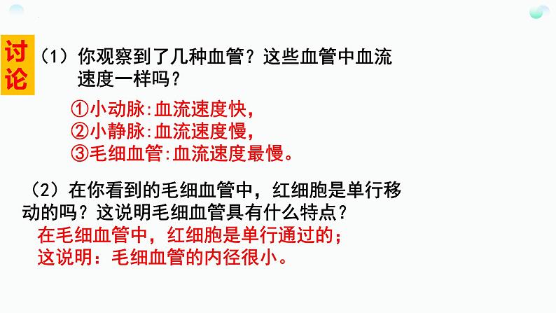 第四单元第四章第一节血流的管道——血管 课件 人教版生物七年级下册07