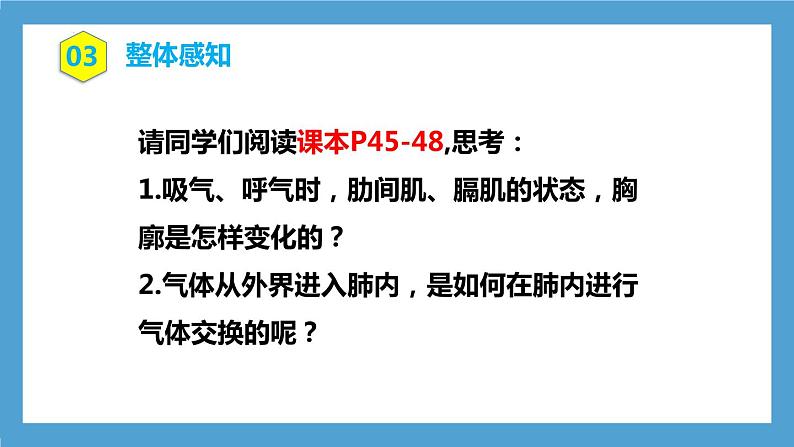 第四单元第三章第二节   发生在肺内的气体交换课件  人教版生物七年级下册05