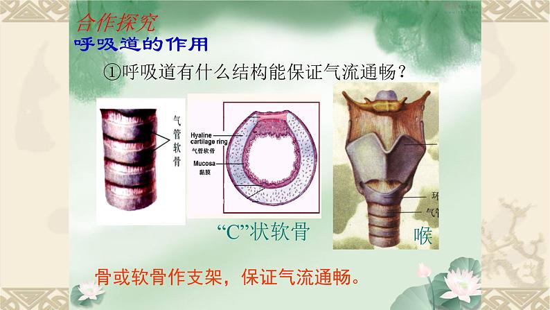 第四单元第三章第二节呼吸道对空气的处理课件  人教版七年级生物下册第8页