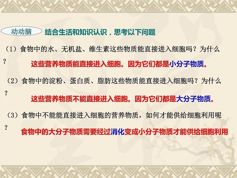 第四单元第二章第二节消化和吸收课件  人教版生物七年级下册05