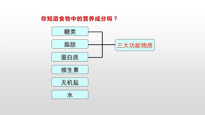 第四单元第二章第一节食物中的营养物质 课件 人教版生物七年级下册04