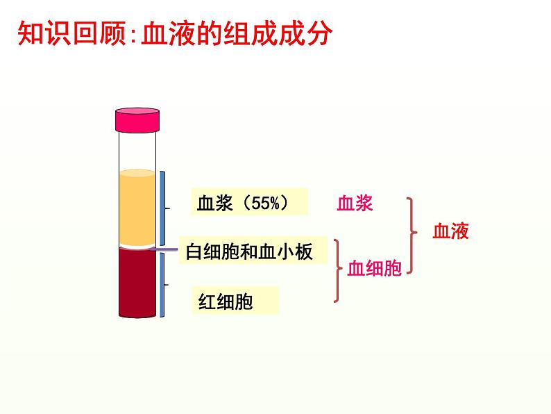 第四单元第四章第四节输血和血型  课件  人教版生物七年级下册03