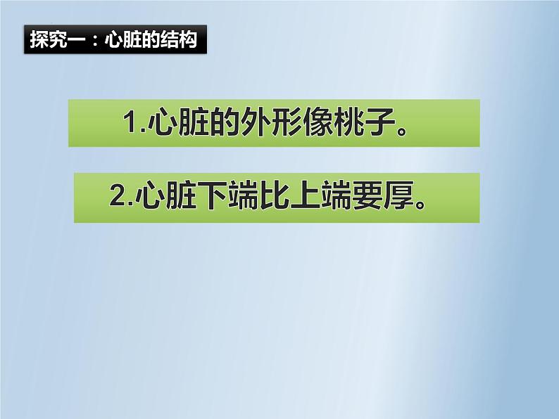 第四单元第四章第三节输送血液的泵—心脏 课件  人教版生物七年级下册06