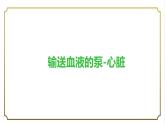 第四单元第四章第三节输送血液的泵-心脏课件   人教版生物学七年级下册