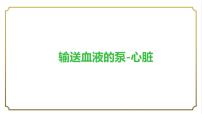 初中生物人教版 (新课标)七年级下册第三节 输送血液的泵──心脏优秀ppt课件