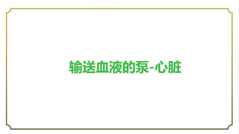 第四单元第四章第三节输送血液的泵-心脏课件   人教版生物学七年级下册第1页