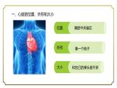 第四单元第四章第三节输送血液的泵-心脏课件   人教版生物学七年级下册