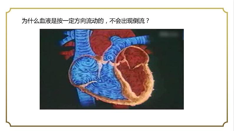 第四单元第四章第三节输送血液的泵-心脏课件   人教版生物学七年级下册第7页