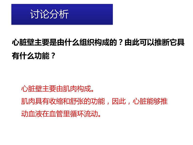 第四单元第四章第三节输送血液的泵——心脏课件  人教版生物七年级下册06