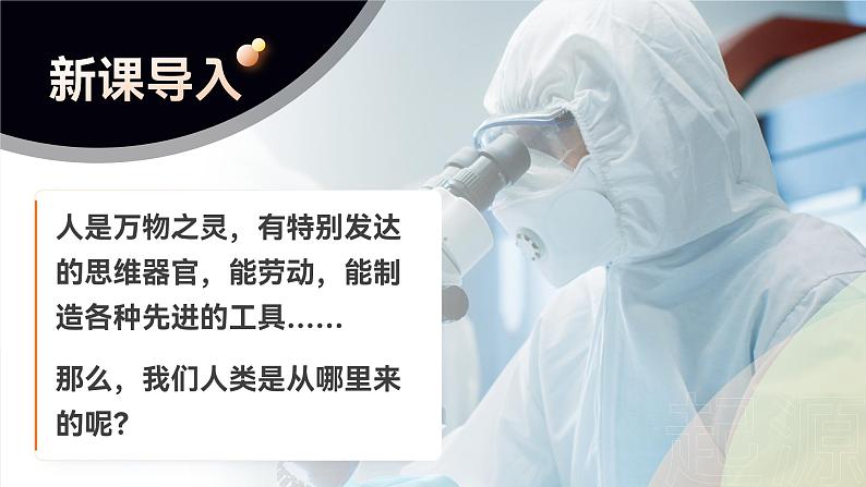 第四单元第一章第一节  人类的起源和发展  课件  人教版生物七年级下册第3页