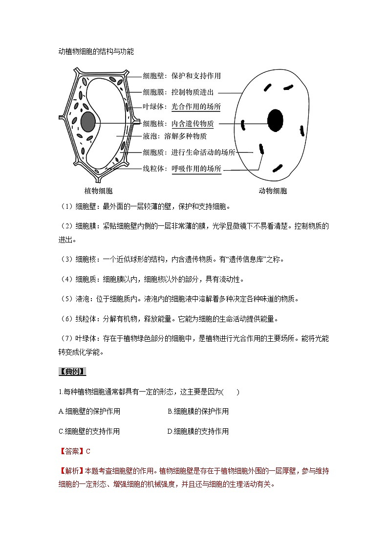 初中生物一轮复习【讲通练透】 考点05 动植物细胞的结构02