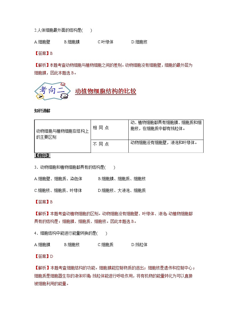 初中生物一轮复习【讲通练透】 考点05 动植物细胞的结构03