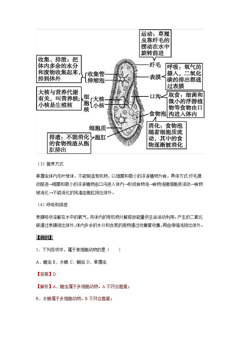 考点09 单细胞生物-【讲通练透】一轮第3页