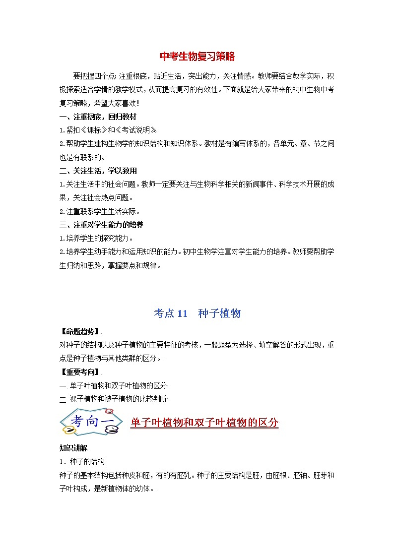 初中生物一轮复习【讲通练透】 考点11 种子植物01
