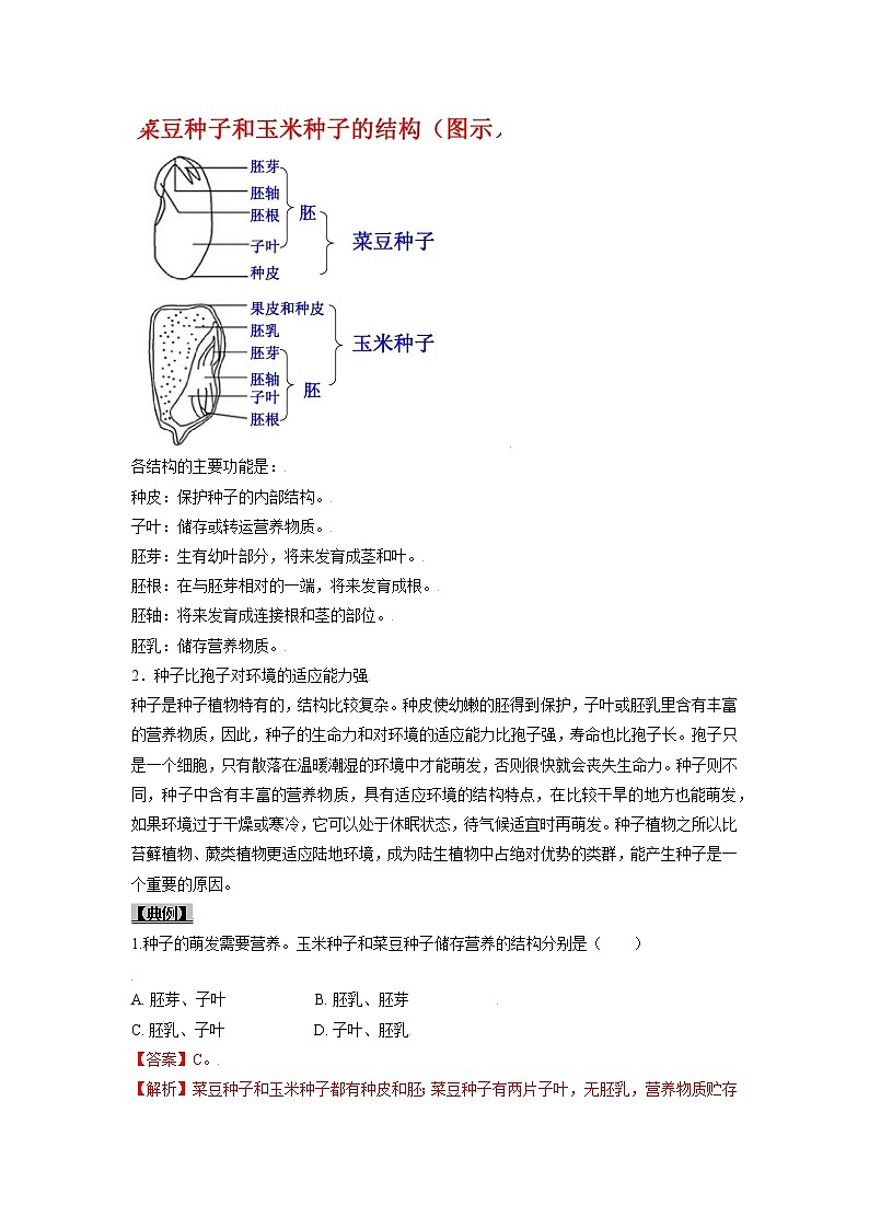 初中生物一轮复习【讲通练透】 考点11 种子植物02