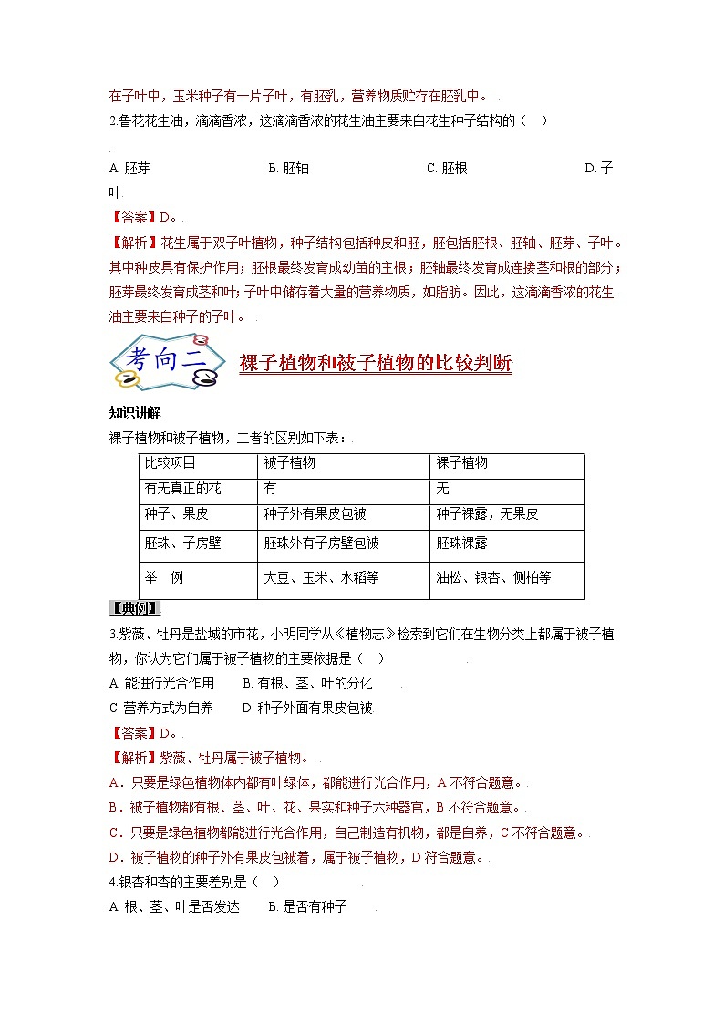 初中生物一轮复习【讲通练透】 考点11 种子植物03